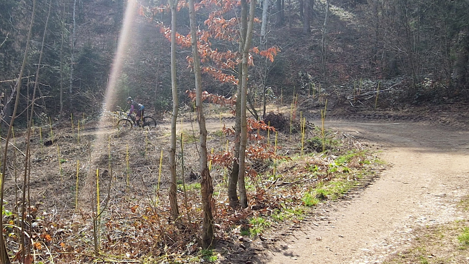 BE-202603-Spontantour-20250328