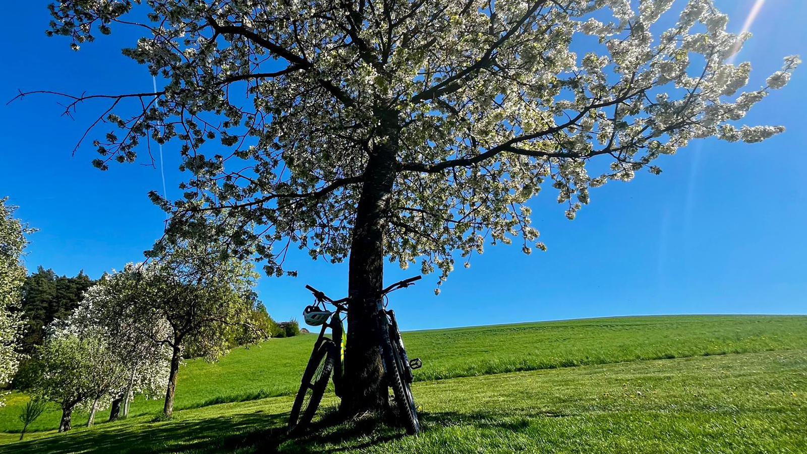 BE-202605-Eroeffnung-20260425-2